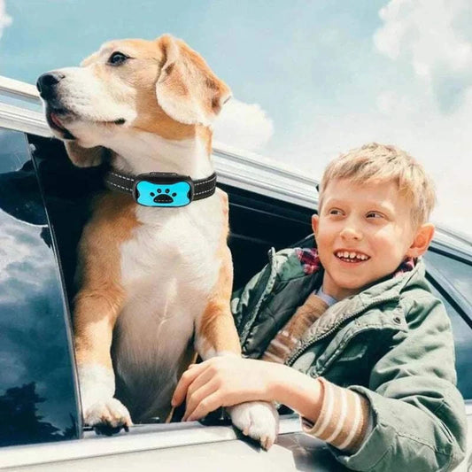 Dog wearing Anti-Bark Dog Collar with child in car.
