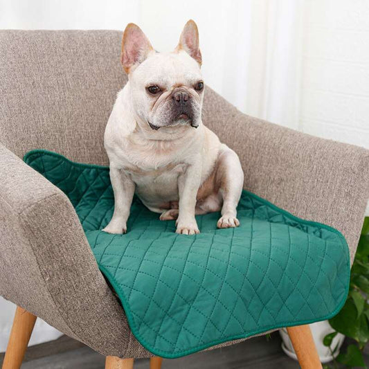 Washable dog pee pad with dog sitting on chair, green color, absorbent and leak-proof.