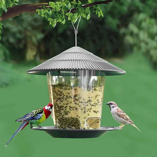 Outdoor Gazebo Style hanging bird feeder with birds, multiple colors, easy to clean.
