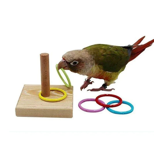 Colorful Bird Training Rings with wooden platform and plastic rings for pet bird exercise.