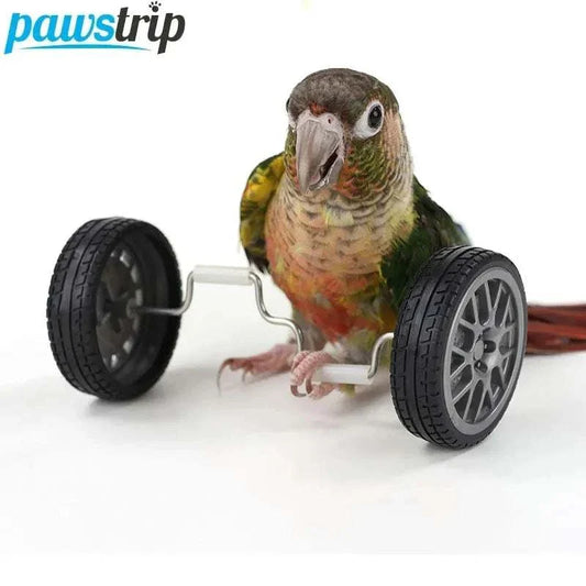 Parrot using interactive cycle toy with training wheels, promoting fun learning and health.