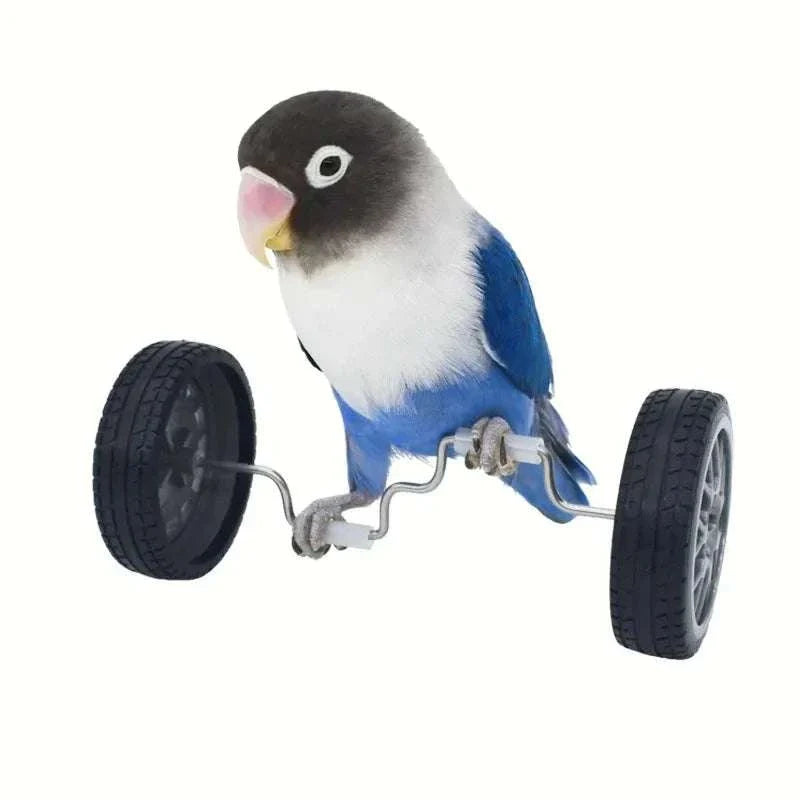 Parrot Cycle Toy - Pet Kingdom